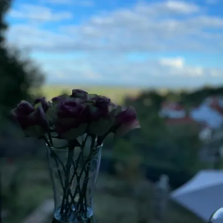 Ferienhaus Auf Der Klippe